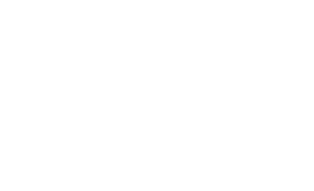 VK Logo